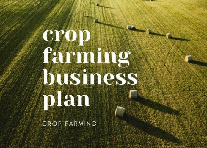 crop farming business plan 2021