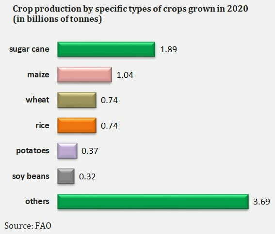 crops grown in 2020