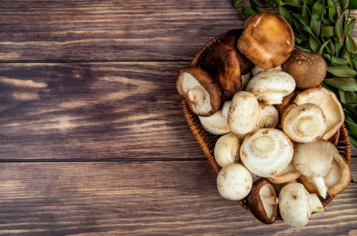 healthy mushroom recipes for weight loss