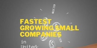 Fastest Growing Small Companies
