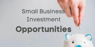 Small Business Investment Opportunities 2021