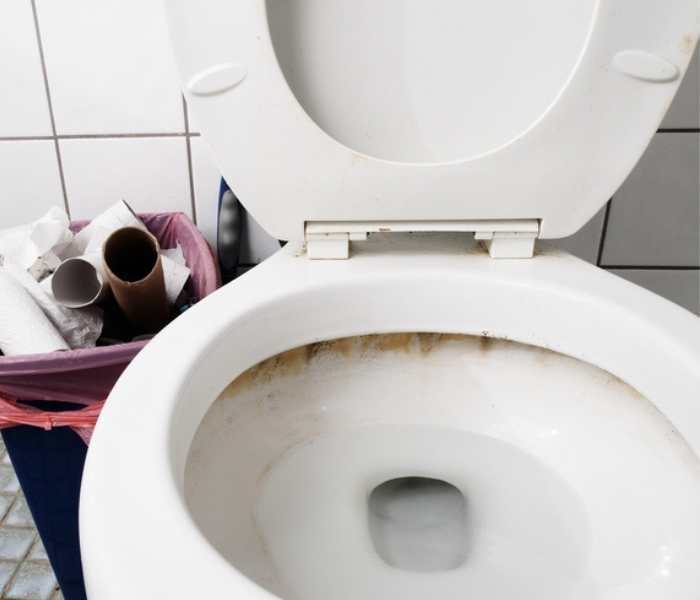 Dirty Toilets to Keep Clean