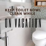 Keep Toilet Bowl Clean While on Vacation