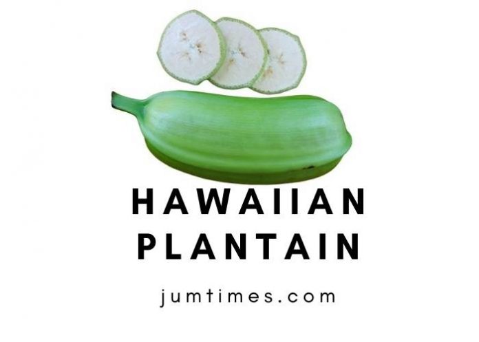 Hawaiian Plantain