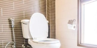 Best Chair Height Toilets
