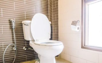 Best Chair Height Toilets