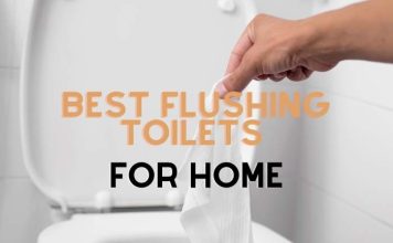 Best Flushing Toilets For Home