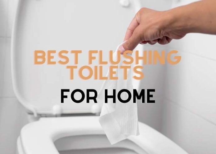Best Flushing Toilets For Home