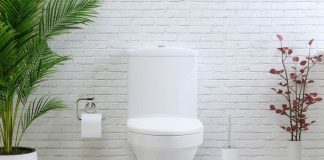 Best Siphonic Jet Toilets Review