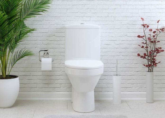 Best Siphonic Jet Toilets Review