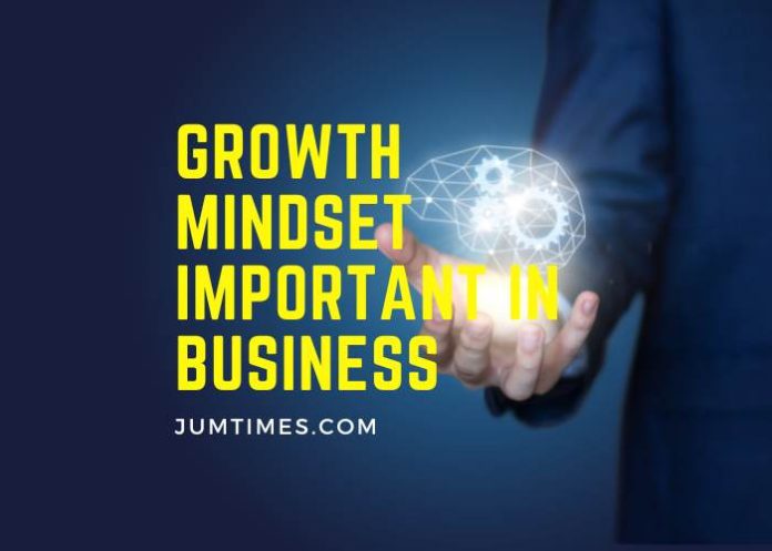 Growth Mindset Important in Business