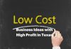 Low Cost Business Ideas with High Profit in Texas