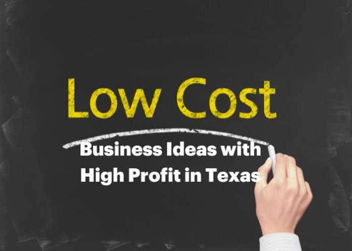 Low Cost Business Ideas with High Profit in Texas