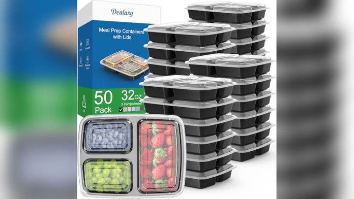 Best 3 Compartment Food Storage Containers