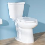 Best Dual Flush Elongated Two Piece Toilets 2026
