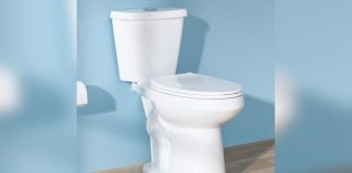 Best Dual Flush Elongated Two Piece Toilets 2026