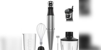 Best Immersion Blender for Smoothies​