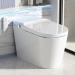 Best Loupusuo Luxury Smart Toilet Reviews