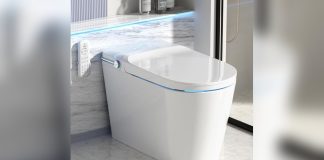 Best Loupusuo Luxury Smart Toilet Reviews