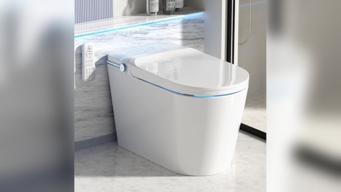 Best Loupusuo Luxury Smart Toilet Reviews Best Loupusuo Luxury Smart Toilet Reviews